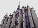 CAM_0281.JPG