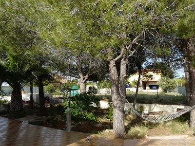 Pinada